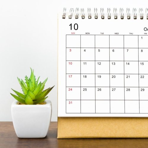 Inspirasi Desain Kalender Dinding Kreatif